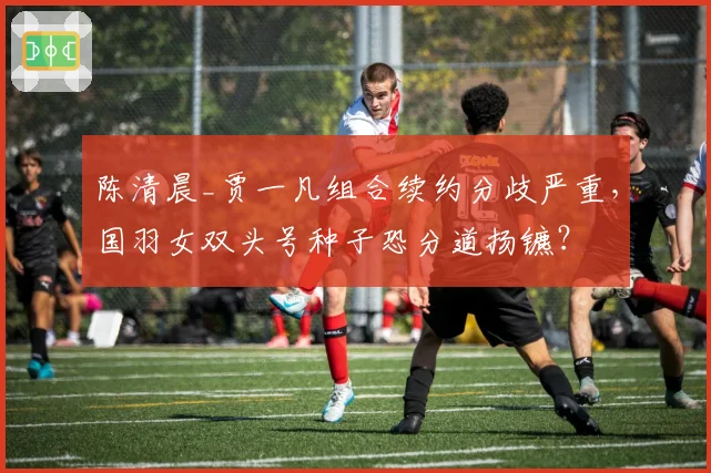 陈清晨_贾一凡组合续约分歧严重,国羽女双头号种子恐分道扬镳?