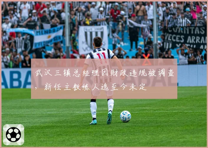 武汉三镇总经理因财政违规被调查,新任主教练人选至今未定