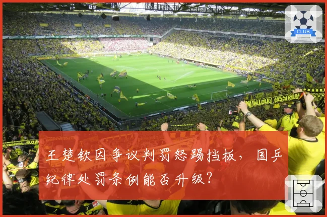 王楚钦因争议判罚怒踢挡板，国乒纪律处罚条例能否升级？
