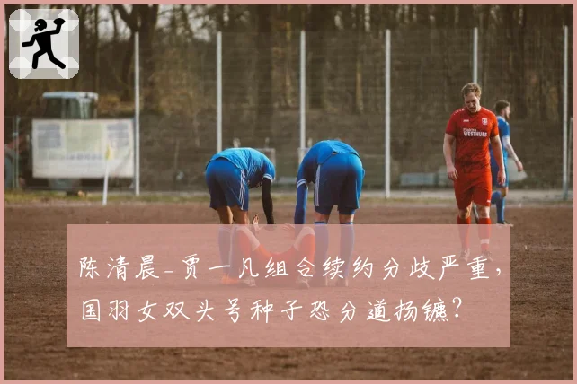 陈清晨_贾一凡组合续约分歧严重，国羽女双头号种子恐分道扬镳？